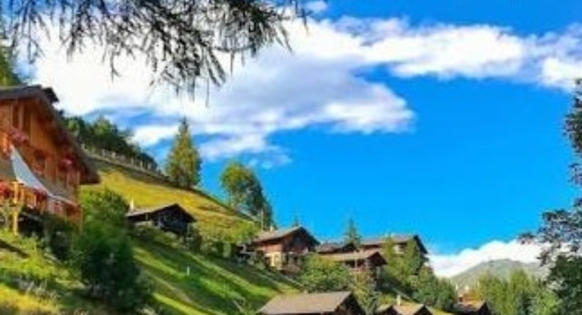 行业新观察 - 萝莉社app - 传媒生态变化前沿洞察平台